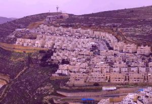 Gemeinsamer Brief von 1.080 Abgeordneten aus 25 europäischen Staaten an europäische Regierungen und die politischen Führungen gegen israelische Annexion im Westjordanland